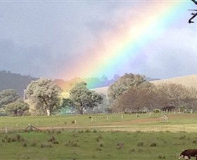Kooyonga Creek Wines - Accommodation Search 5