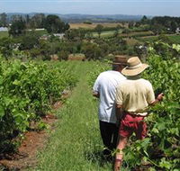 Sir Paz Estate - Accommodation Search
