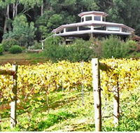 Peveril Vineyard/Beechy Berries - Accommodation Search