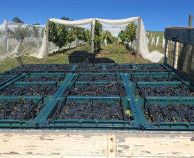 Three Willows Vineyard - Accommodation Search 1
