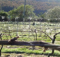 Three Willows Vineyard - Accommodation Search
