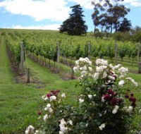 Pembroke Estate Vineyard - Accommodation Search