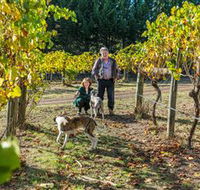 Little River Wines of Taggerty - Accommodation Search