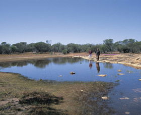 Perenjori ACT Accommodation Search