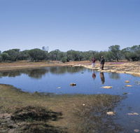 Camel Soak - Accommodation Search