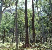 Cathedral Range State Park - Accommodation Search
