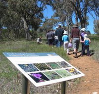 South Gundagai Woodlands Walk - Accommodation Search