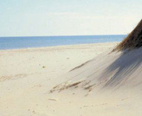 Lilley's Beach - Accommodation Search 2