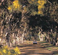 Albert Facey Heritage Trail - Accommodation Search