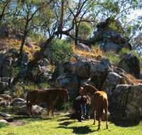 Coomba Falls - Accommodation Search