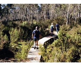 Hume And Hovell Walking Track - Henry Angel Trackhead - Accommodation Search 0