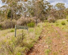 Old Mountain Road Walking Track - Accommodation Search 0