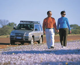 Canna Reserve - Accommodation Search 1