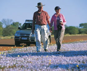 Canna Reserve - Accommodation Search 2