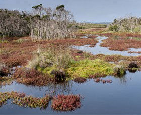French Island National Park - Accommodation Search 0