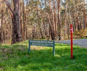 Lobs Hole Ravine 4WD Trail - Accommodation Search 0