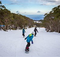 Mt Baw Baw Alpine Resort - Accommodation Search