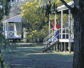 Dryandra Woodland - Accommodation Search 0