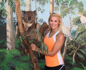 Maru Koala And Animal Park - Accommodation Search 0