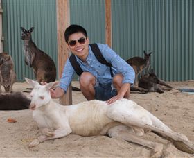Maru Koala And Animal Park - Accommodation Search 2