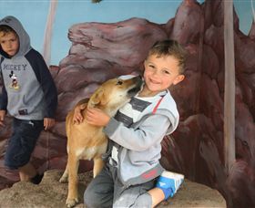 Maru Koala And Animal Park - Accommodation Search 3