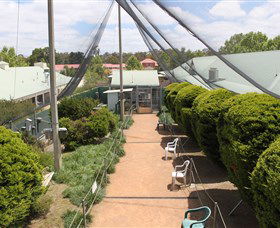 Canberra Walk In Aviary - Accommodation Search 2