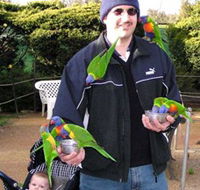 Canberra Walk In Aviary - Accommodation Search