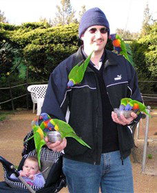 Canberra Walk In Aviary - Accommodation Search 0
