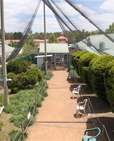 Canberra Walk In Aviary - Accommodation Search 3