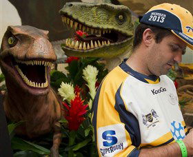 National Dinosaur Museum - Accommodation Search 3