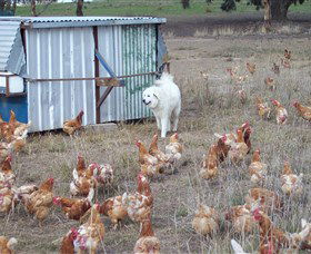 Northside Farmers Market - Accommodation Search 1