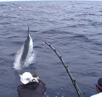 Amokura Charters - Accommodation Search