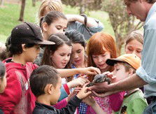 Blackbutt Reserve - Accommodation Search 2