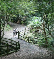 Blackbutt Reserve - Accommodation Search 3