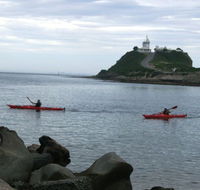 Newcastle Kayak Tours - Accommodation Search