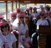 Newcastles Famous Tram - Accommodation Search