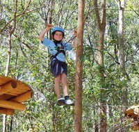 TreeTops Newcastle - Accommodation Search