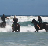 Pegasus Park Equestrian Centre - Accommodation Search
