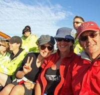 Byron Bay Whale Watching - Accommodation Search