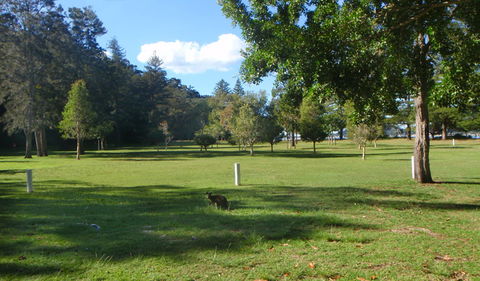 The Basin Picnic Area - Accommodation Search 1
