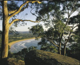 Ocean Beach Umina - Accommodation Search 0