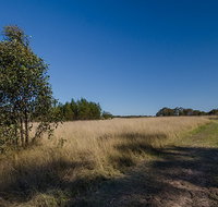 Scheyville horse riding trails - Accommodation Search