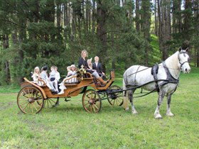 Classic Carriage Drives - Accommodation Search 0