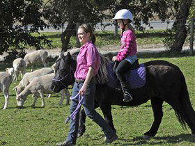Hahndorf Farm Barn - Accommodation Search 2