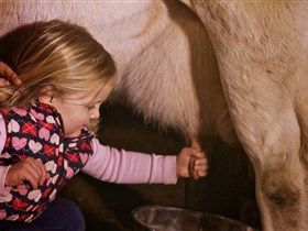 Hahndorf Farm Barn - Accommodation Search 1