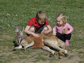 Hahndorf Farm Barn - Accommodation Search 3