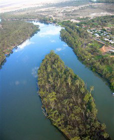 Sturt's Tree - Accommodation Search 0