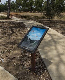 Wallam Creek, Bollon - Accommodation Search 1