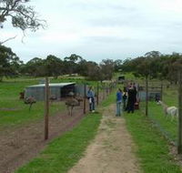 Avenue Emus - Accommodation Search