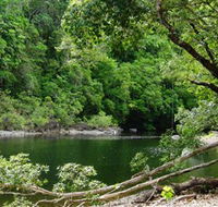 Broadwater Abergowrie State Forest - Accommodation Search